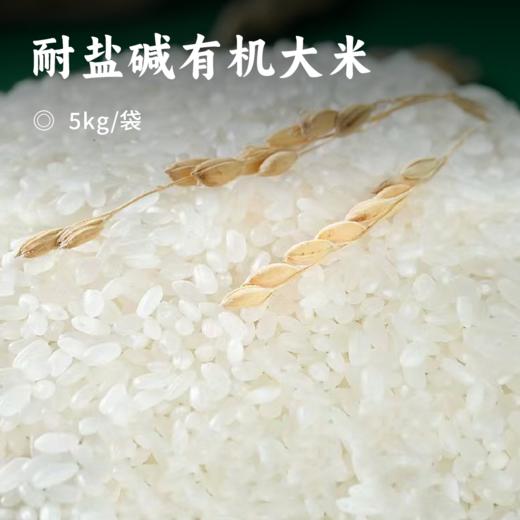 耐盐碱有机大米 | 隆平农场辽河自建种植基地 滩涂碱地·有机蟹稻 有机认证  一年一季 最大限度确保有机稻的原香 成饭粒粒分明 香甜软糯 商品图0