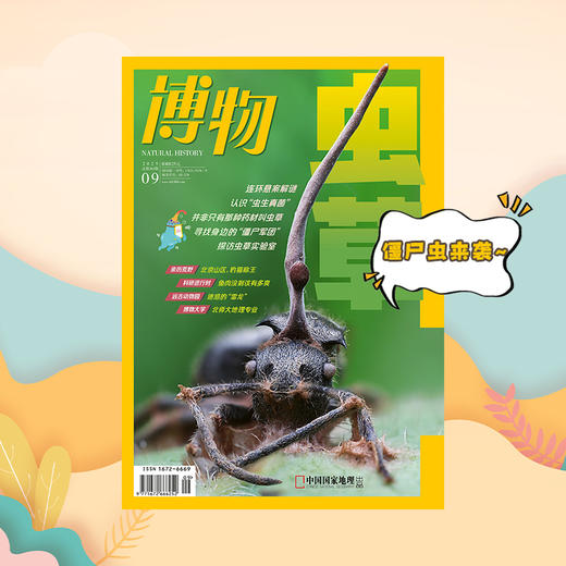 《博物》202509 “虫草”疑云 虫草科研 商品图0