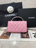 Chanel cf 23p mini 手柄 羊皮 粉拼绿 链条包 商品缩略图5