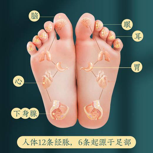 南京同仁堂男女士泡脚包 真材实料足浴包十二味泡脚药包家用泡脚粉 商品图2