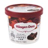 哈根达斯（Haagen-Dazs）法国进口 比利时巧克力冰淇淋 81g（100ml） 商品缩略图0