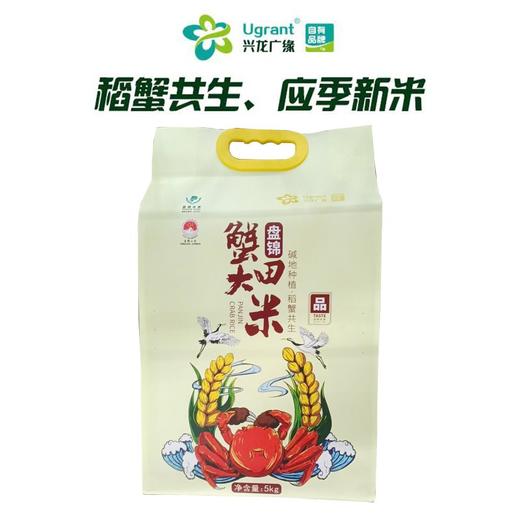 兴龙广缘5kg盘锦蟹田大米（特等）新老包装随机 商品图0
