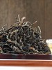 【独木古树单株】2023年临沧茶区头采古树助农产品，帮助独木茶农变现,150克/罐 商品缩略图3