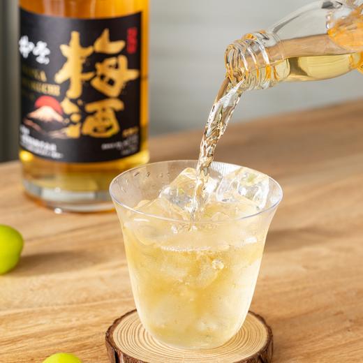井奈青梅酒|头等舱专用，完熟梅纯古法发酵，天然酸甜，梅香馥郁|11%Vol 商品图1
