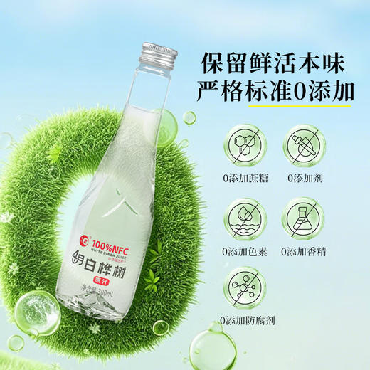 【会员专享】忠芝4月白桦树原汁 白桦汁原液无添加自然植物饮料整箱 商品图3