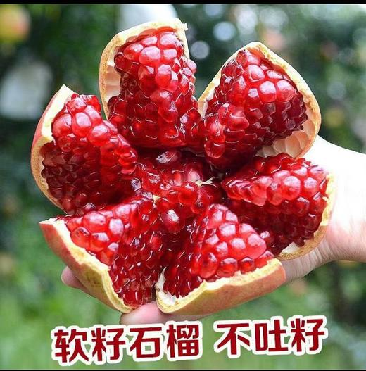 会理软籽石榴 甄选精品大果礼盒装 自然成熟  清甜爆汁 商品图1