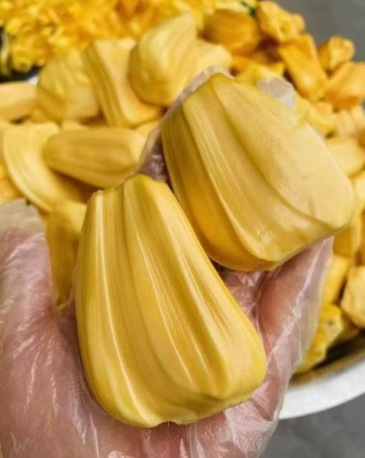 越南红肉菠萝蜜 商品图1