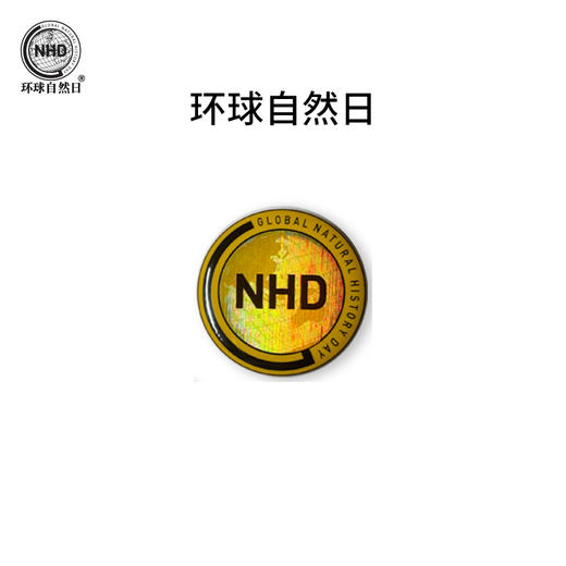 【单个价】环球自然日吧唧三兄弟纪念徽章 商品图2