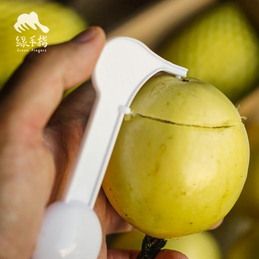 有机百香果（广西，限时6折） | 合作生产* Organic passion fruit | Partner Production 商品图2