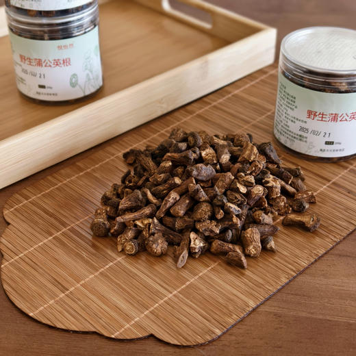 野生蒲公英根 | 采自大兴安岭 精选粗壮饱满足龄根 汤色纯正 微苦回甘 结节友好 商品图4