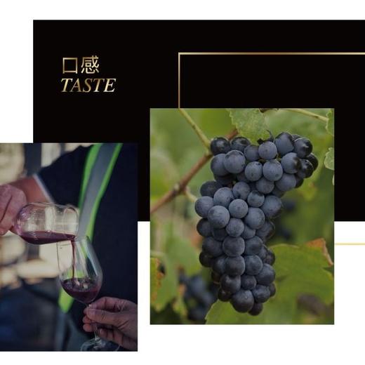 黄金谷珍藏西拉(2023) 红葡萄酒750ml 商品图1