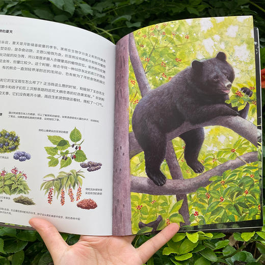 [2025新]科学之友系列2-12岁全覆盖 商品图3