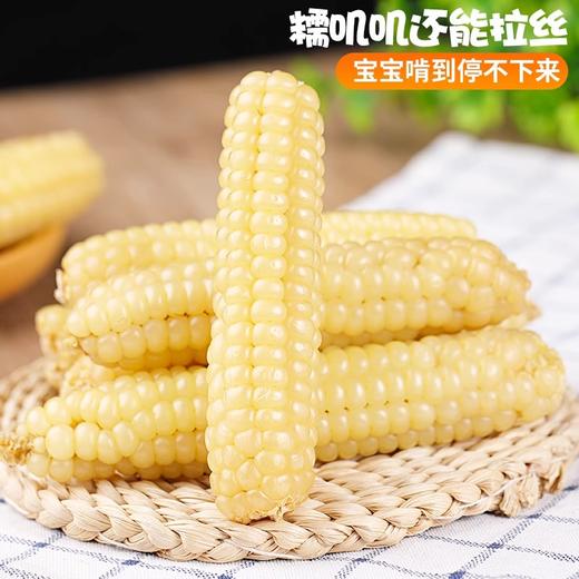 云南西双版纳拇指玉米 商品图1
