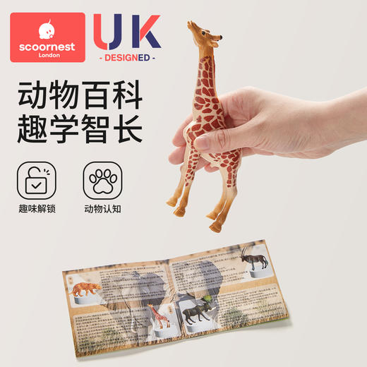 科巢动物模型儿童仿真玩具早教套装宝宝认知野生动物园益智玩具 商品图2