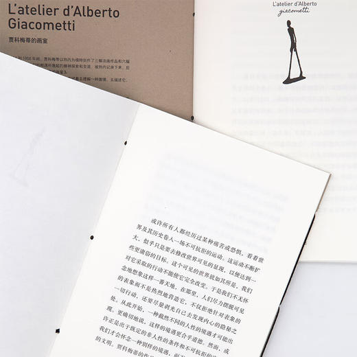 贾科梅蒂的画室与伦勃朗的秘密：让•热内论艺术（文学大师与艺术巨匠的精神对话） 商品图7