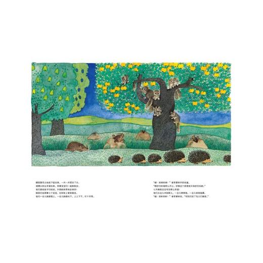 【点读版】米拉·洛贝百年精选图画书：五只兔子（平）（NEW） 商品图1