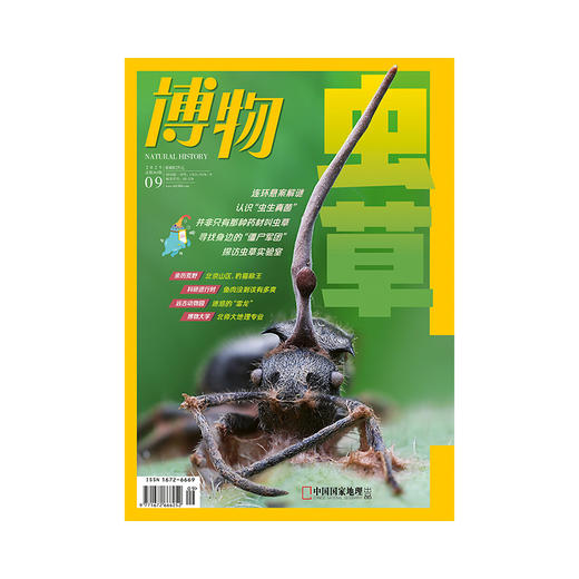 《博物》202509 “虫草”疑云 虫草科研 商品图2