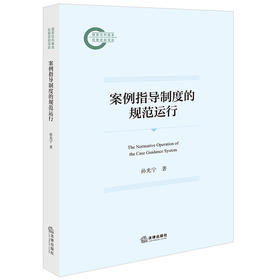 案例指导制度的规范运行 孙光宁著 法律出版社