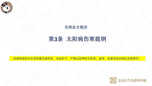 伤寒第3条：太阳病伤寒提纲 商品图0