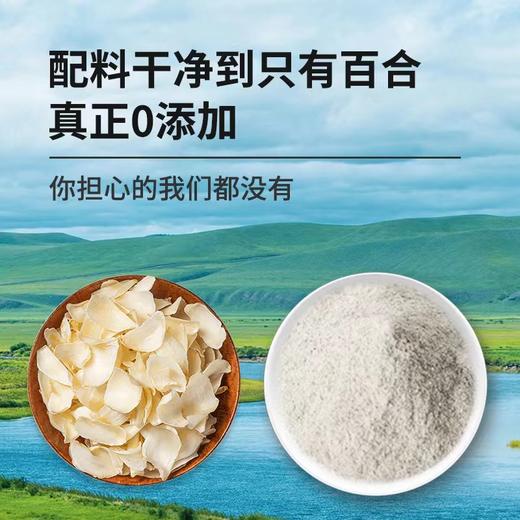 【甄选】百合精粹粉精选兰州百合配料纯净无额外添加75g（5g*15条）/盒 商品图3