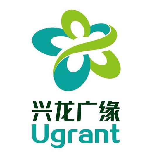 【休闲套餐】零食大礼包（份） 商品图0