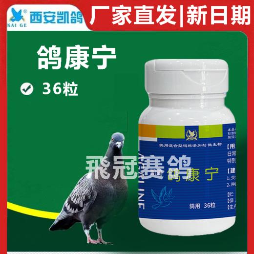 凯鸽鸽康宁胶囊36粒赛鸽信鸽子保健日常 商品图1