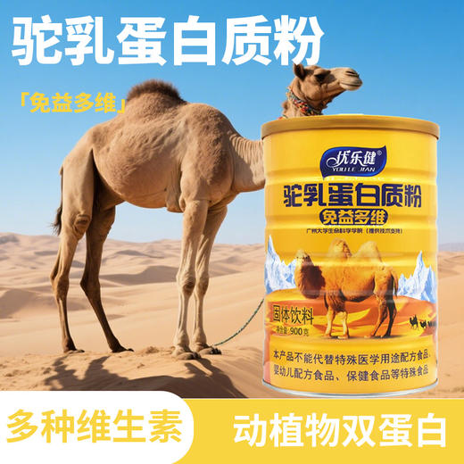 SC 驼乳免益多维蛋白质粉 900g/桶 有效期20280101 商品图9