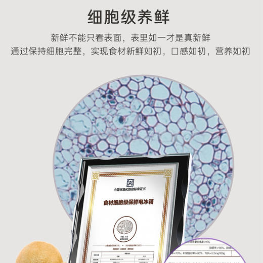 卡萨帝（Casarte）冰箱 BCD-540WGCTDMGZHU1(锦) 商品图3