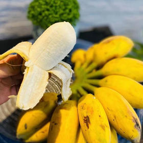 农家自然熟苹果蕉香蕉