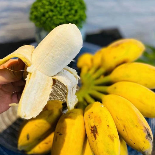 农家自然熟苹果蕉香蕉 商品图0