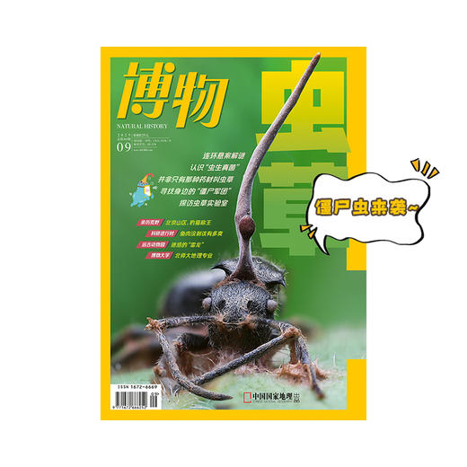 《博物》202509 “虫草”疑云 虫草科研 商品图1