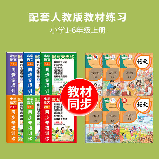 【同步天天练】小学语文默写天天练六合同步专项训练 商品图2