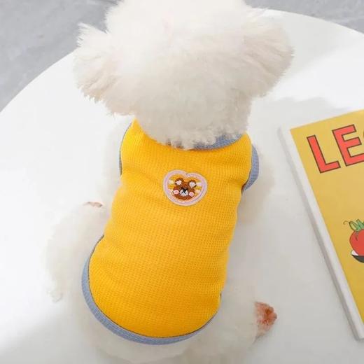 【敲好看】秋季薄款宠物夏装泰迪比熊贵宾博美小猫咪雪纳瑞小型幼犬狗狗衣服。ra 商品图3