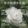 【分销】【买2送8共16斤】蔬果园香氛洗衣液 天然茉莉白山茶精油 植物酵素洁净 低泡易漂 呵护敏感肌 持久留香 商品缩略图1