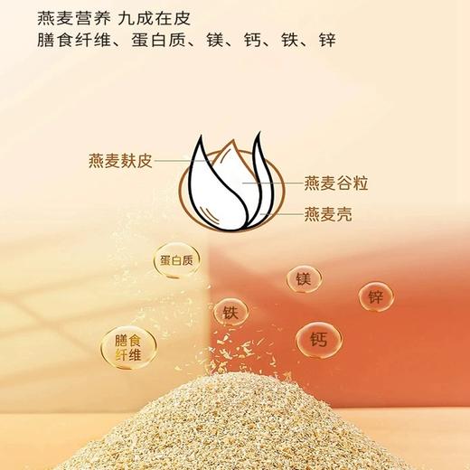【2罐】燕麦麸皮粉、冲饮即食代餐、无添加蔗糖、原味膳食、500g/罐 商品图2