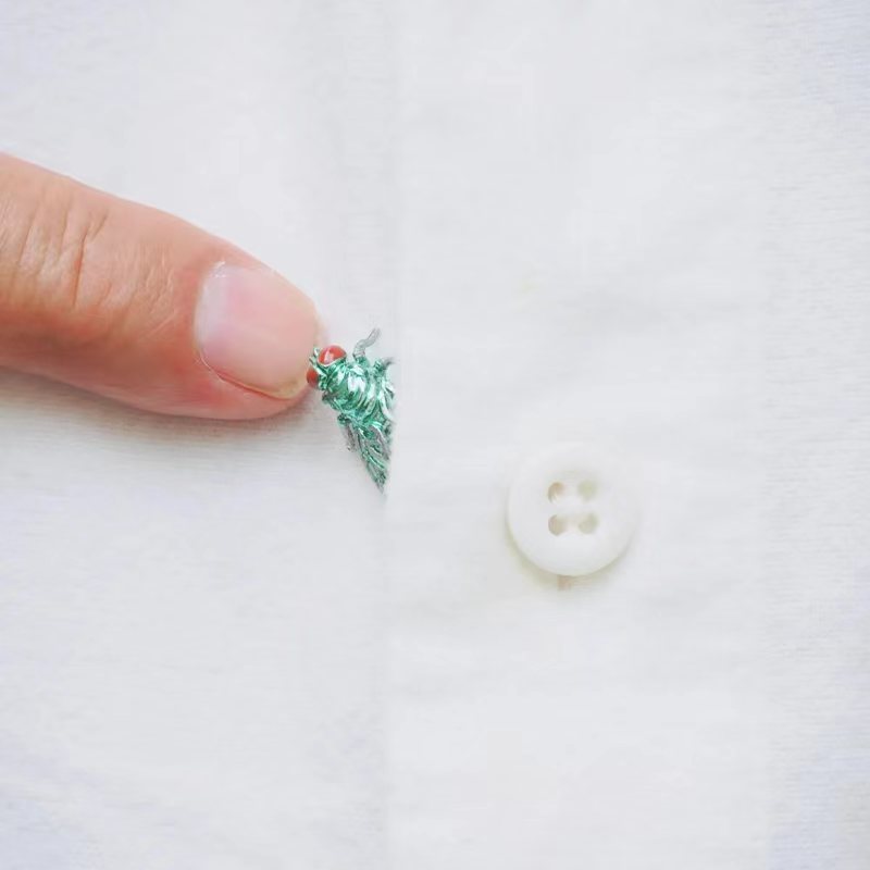 朱赢椿 蝇吟胸针