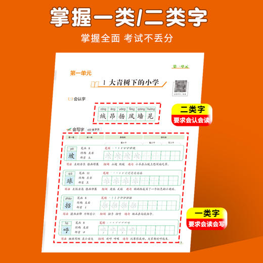 【同步字帖】小学语文生字书写练习学+练同步字帖1-6年级上25同步教材 商品图3