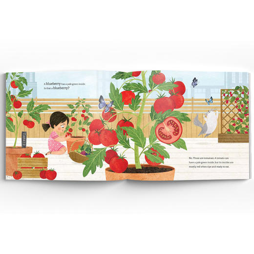 Where in the Garden？瓜果在哪里？ 商品图4