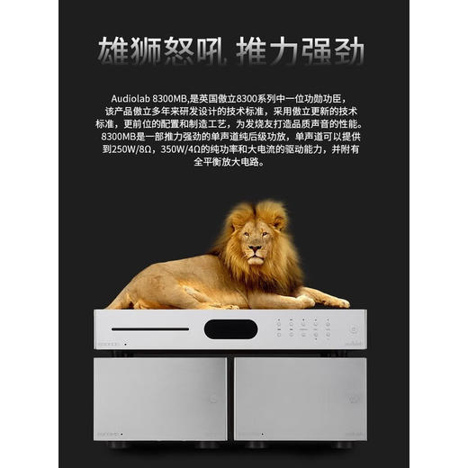 英国 audiolab傲立 8300MB  发烧功放机音响套装 单声道纯后级功放大功率 商品图4