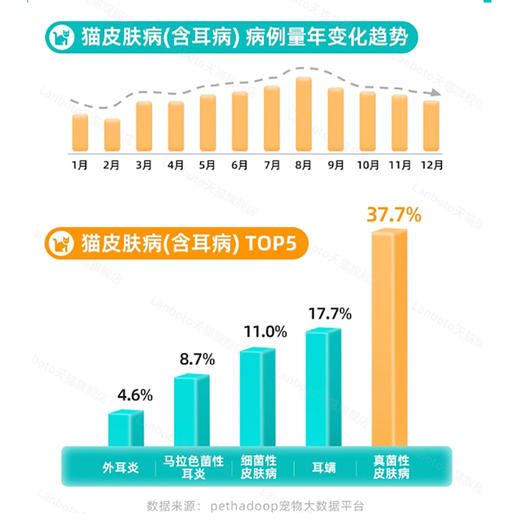 复新微控丨硝酸咪康唑喷雾剂 商品图2