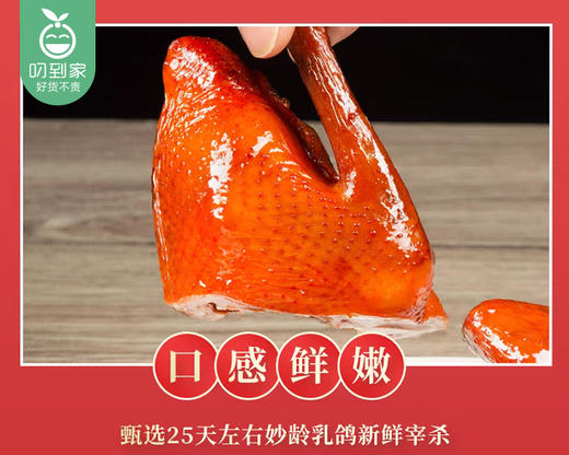 金绿红烧脆皮乳鸽（200g/只）生产日期: 1月 商品图2