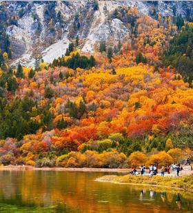 【避坑】金秋短途徒步！这份防摔防失温攻略请收好！装备清单！