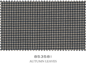 SCABAL 853581