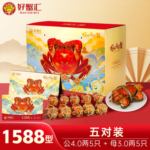 好蟹汇·阳澄湖大闸蟹1588型公4两/母3两五对装【盛元新生活·礼卡】 商品图0