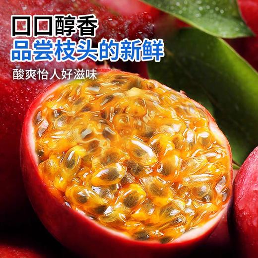 百香果 商品图1