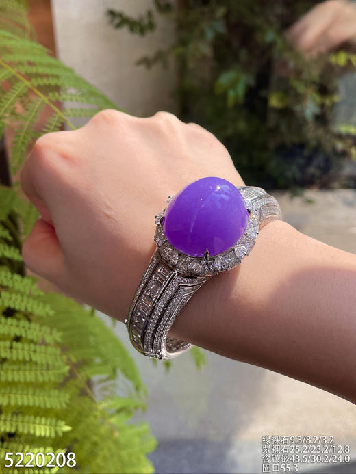 浓艳紫蛋面吊坠手镯两用款【5220208】具体价格微信咨询 商品图5