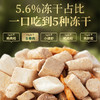 【六拼无谷冻干鲜肉猫粮】宽福  厚切鲜肉冻干  六重营养深层呵护高动物性原料  3种益肠植萃调节肠道菌群 商品缩略图2