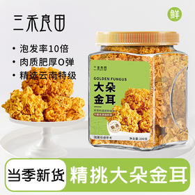在菌屋 云南大朵金耳菌150g/罐 肉质肥厚 Q弹软糯