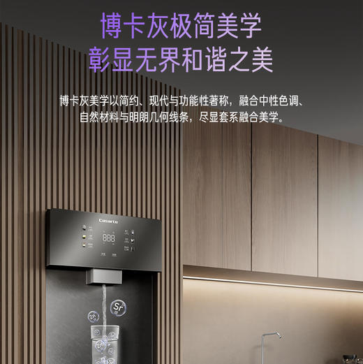 卡萨帝（Casarte）管线机 CGR-22BU1 商品图3