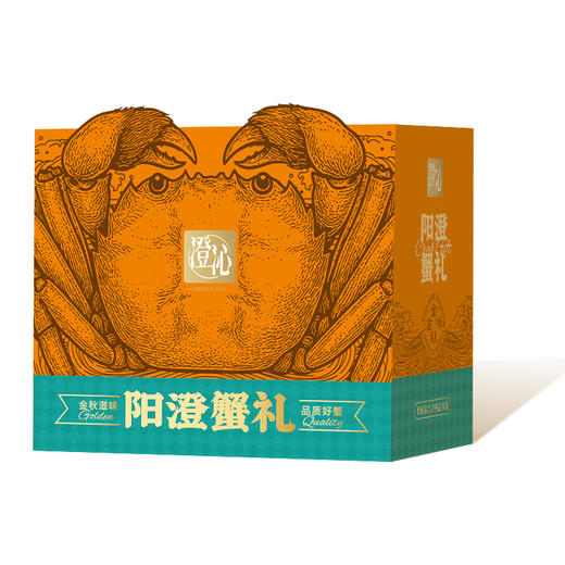 TY【签收超6小时死蟹不包赔，售后请在线反馈】25年澄沁888型-佳节礼【鲜享3.0】 商品图0